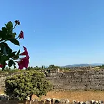 Paestum Suite