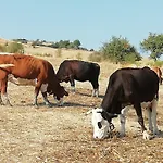 Agriturismo Masseria Farina