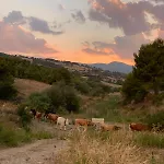 Agriturismo Masseria Farina