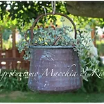 Agriturismo Macchia Di Riso