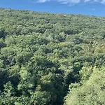 Al Bosco Incantato