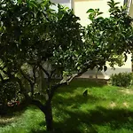 B&B Il Giardino Diamante