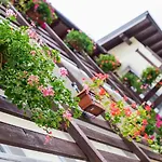 B&B Prato Solaro