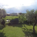 Il Gelso Di Barcuzzi