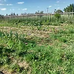 Casa Evelina, Armonia Del Passato Nel Rispetto Della Natura