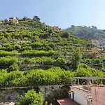 Holiday House