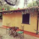 Casina Versilia