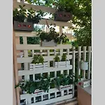 La Casa Delle Conchiglie