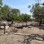 Il Giardino Di Mary