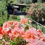 Le Rose