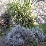 Il Casolare Del Vignolo