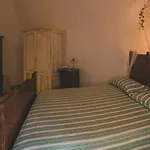 Nice Apartment