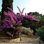 Villa Capo D'Arco