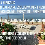 Il Profumo Dei Sensi