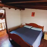 Il Cardellino