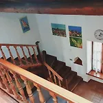 Il Cardellino