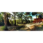 Agriturismo Poggio Al Pino