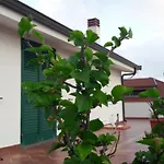 Attico Riace
