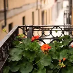 Casa Di Jo