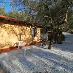 Casina Versilia