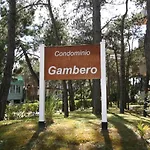 Ba -Gambero