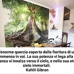 B&B Domus Cerri