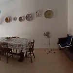 L'Acquario Appartamento! Pesci Conchiglie E Stelle Marine