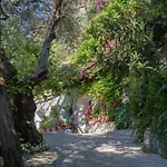 Amore Rentals - Villa Era