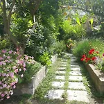 Il Vialetto Dei Limoni