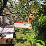 Nonna Rosy Apartment