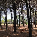 Vista Mare