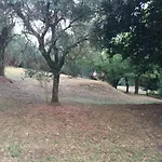 Casa Oliveto