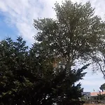 La Spiaggia 2