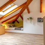 Luxury 350 Sq Mt Flat With Terrace Central Trieste