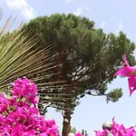 Hotel Paradiso