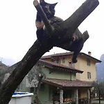 Casavarone