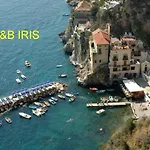 B&B Iris