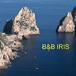 B&B Iris