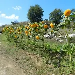 Azienda Agricola Fattoria Terranov