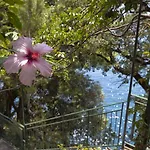 Amore Rentals -La Villa Positano