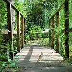 Oltre Il Giardino