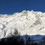 La Coquille De Neige