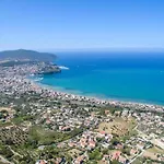 Gelso Blu