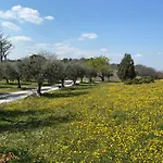 Belle Marche