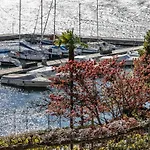 -Appartamento Il Molo- A Due Passi Del Lago