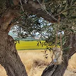 Casa Caminate - La Quercia 1