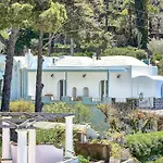 Dentecala 4