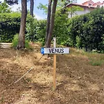 Venus Appartement Grado