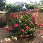 Bellissima Turchese
