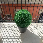 “La Pinta” Elegante Appartamento Al Vomero